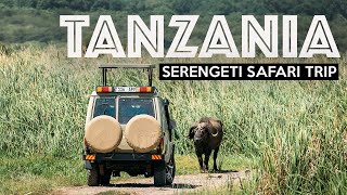 TANZANIA SAFARI  Exploring The Serengeti [upl. by Jehiel28]