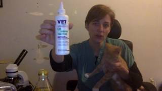 Cat Mites Home remedies [upl. by Tasha]