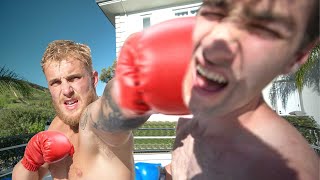 I Boxed Jake Paul over 90000 Couches painful  Episode 3 [upl. by Hanley]