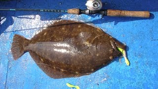 Flounder Fluke Fishing  Jigging Tackle and Technique [upl. by Ole818]