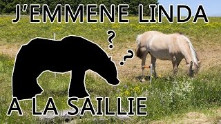 JEMMENE LINDA  A LA SAILLIE  Vlog [upl. by Ydissahc]