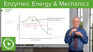 Enzymes Activation Energy amp Mechanics – Biochemistry  Lecturio [upl. by Sturrock]