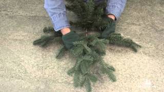 How To Properly Shape an Artificial Christmas Tree Branch [upl. by Eldnik]