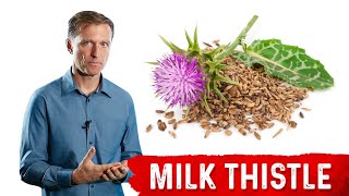 Milk Thistle The Amazing Herb for Your Liver [upl. by Aeret]