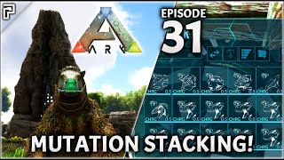 Stacking Dino Mutations  ARK Survival Evolved Ep31 [upl. by Eitsym]