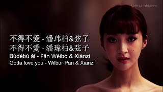 Wilbur Pan  Bu De Bu Ai 不得不爱  Pinyin Lyrics Chinese English LyricLaoshi [upl. by Oicangi]