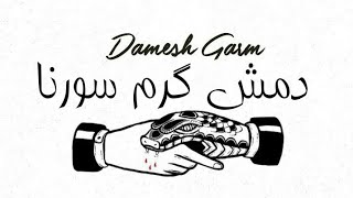 دمش گرم علی سورنا با ویس پوتک Ali Sorena Damesh Garm Putak Voice [upl. by Aicenet]