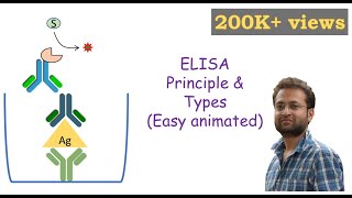 ELISA Enzymelinked Immunosorbent Assay [upl. by Aynwat121]