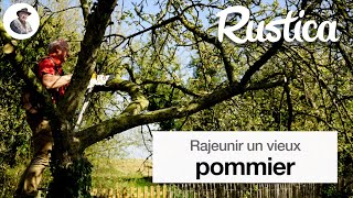 Rajeunir un vieux pommier [upl. by Idalia]