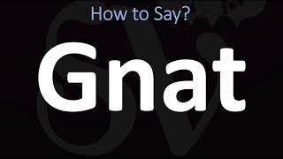 How to Pronounce GNAT CORRECTLY [upl. by Nytsirt374]