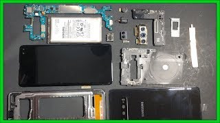 Samsung Galaxy S10 Plus Disassembly Teardown Repair Video Guide Any Bitcoin Inside [upl. by Zoeller]