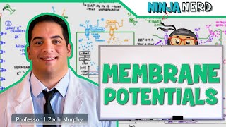 Neurology  Resting Membrane Graded Action Potentials [upl. by Monteria99]