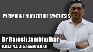 Pyrimidine nucleotide synthesis and degradation [upl. by Ilil]