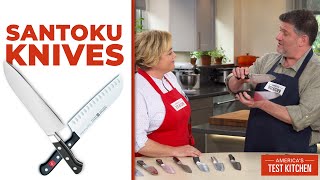 The Best Santoku Knives [upl. by Bellew770]