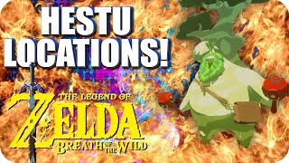 Hestu Locations and Lost Forest guide  Zelda BOTW [upl. by Entwistle]