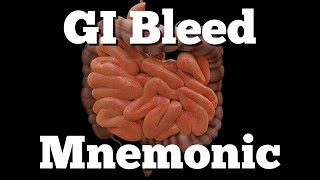 Lower Gastrointestinal GI Bleed Mnemonic Causes Diagnosis Treatment Quick amp EZ Episode 8 [upl. by Aneelas]