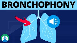 Bronchophony Medical Definition  Quick Explainer Video [upl. by Hardi]