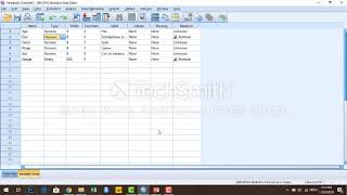 Se1Ep2 SPSS программ дээр өгөгдөл хэрхэн оруулах вэ Enter data and define variables in SPSS [upl. by Katzen]