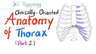 ClinicallyOriented Anatomy of the Thorax Part 2 [upl. by Antsirhc960]