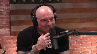 Joe Rogan on Catholic Priest Scandals [upl. by Cirdor704]