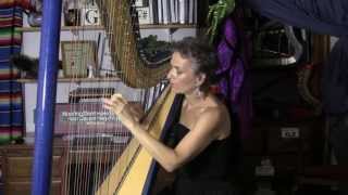 Beethovens quotFür Elisequot  Arranged for Harp by Deborah HensonConant [upl. by Colan]