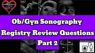 ObGyn Sonography Registry Review [upl. by Semmes619]