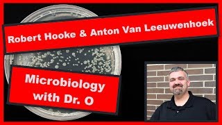 Robert Hooke and Antony Van Leeuwenhoek Microbiology [upl. by Hayidah867]