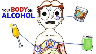 How Alcohol Changes Your Body [upl. by Arodoeht]