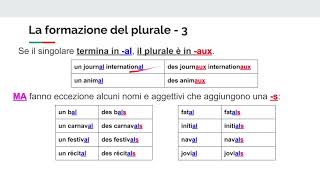 La formazione del plurale [upl. by Arateehc982]