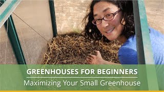 Greenhouse Gardening 101 A Beginner’s Guide [upl. by Vicky]