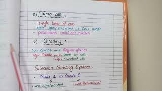 Cell Cycle and Cancer Phases Hallmarks and Development [upl. by Nwahsar]