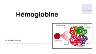 Hémoglobine [upl. by Sherye]