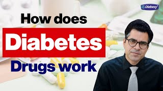 How does Diabetes Drugs work  Drugs Mechanism and Uses  Diabexy EDU 21 [upl. by Nari]