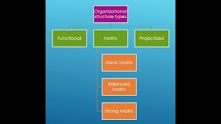 Types Of Organizational Structure  Functional  Matrix  Projectized [upl. by Jevon]