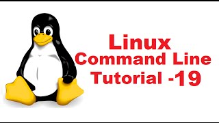 Linux Command Line Tutorial For Beginners 19  Octal and Numerical permissions chmod [upl. by Gibbeon]