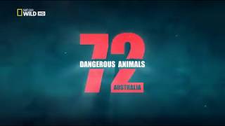 Aussie most dangerous animals  S01E01 [upl. by Vaenfila990]