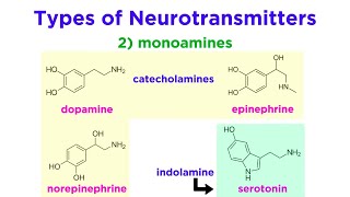 Neurotransmitters Type Structure and Function [upl. by Zinn358]