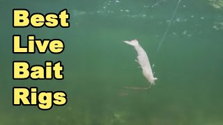 Top 3 LIVE BAIT RIGS For Inshore Fishing To Rig Shrimp Pinfish Mullet amp More [upl. by Moreta242]