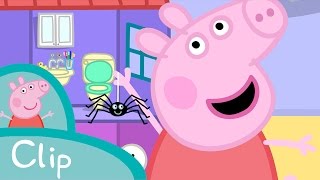 Peppa  La araña clip [upl. by Anialem277]