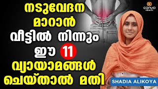 നടുവേദന മാറാൻ വീട്ടിൽ ചെയ്യേണ്ട 11 വ്യായാമങ്ങൾ  Shadiya Alikoya  Naduvedana Maran Malayalam [upl. by Verras]