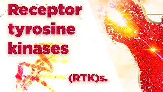 Receptor tyrosine kinases  RTKs  Cell Signaling [upl. by Mack]