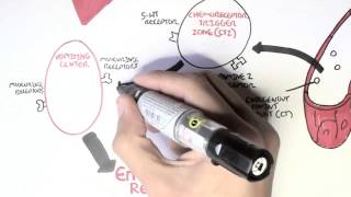 Physiology of Vomiting [upl. by Oiramel]