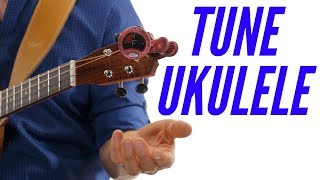 How To Tune a Ukulele with Tuner [upl. by Ennoval]