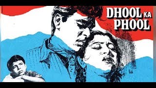 Dhool Ka Phool 1959 Evergreen Songs [upl. by Niatsirk481]