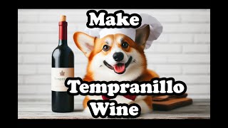 Recipe Make Tempranillo Wine [upl. by Alameda788]