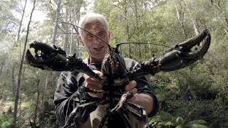 Il parvient à pêcher une écrevisse géante   Jeremy Wade en eaux troubles [upl. by Alehc]