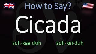 How to Pronounce Cicada British Vs American Pronunciation  Spanish [upl. by Auod]