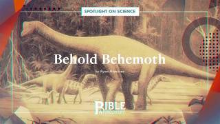 What Really was the quotBehemothquot in the Book of Job  Spotlight on Science  Behold Behemoth [upl. by Ardnosal54]