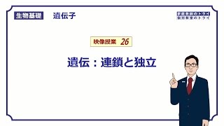 【生物基礎】 遺伝子26 連鎖と独立 （１４分） [upl. by Ripp]