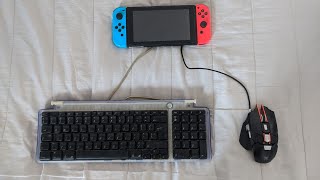 How to use a USB keyboard for your Nintendo Switch super EASY [upl. by Ahrendt]